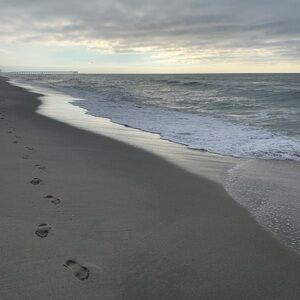 Meet your Posher, Tish